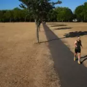 Climate Inactivity Crisis: Study Predicts Up to 700,000 Deaths by 2050