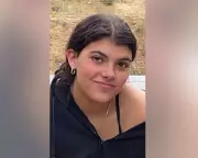 Coroner Rules Canadian Backpacker Died by Drowning After Dingo Attack on K'gari