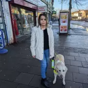 Councillor's Guide Dog Access Refusal Sparks Brent Council Crackdown
