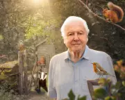 David Attenborough's Secret Garden Sparks Debate with Cat and Pheasant Advice