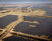 Denmark's Green Revolution Faces Rural Backlash as Solar Farms Divide Nation