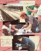 Doctor Witnesses Public Health Crisis at US-Mexico Border, Blames Political Policies