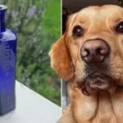 Dog Uncovers 160-Year-Old Poison Bottle Linked to Victorian Murder Case