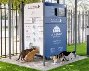 Dubai Deploys AI Feeding Stations Amid Pet Abandonment Crisis