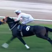 English Racehorse Killed and Served in Turkish Soup Kitchen Sparks Criminal Probe