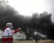 Environmental Catastrophe Unfolds in Iran Amid US-Israeli Strikes