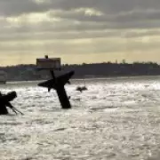 Exclusion Zone Widened Around WWII 'Doomsday Wreck' in Thames Estuary