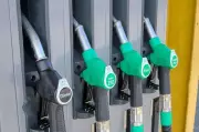 Expert Driving Tips to Slash Fuel Costs as Petrol Prices Soar