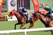 Fast Network Aims for Victory in Hong Kong's Essex Handicap Feature Race