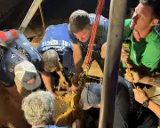 Florida Man Rescued After Week-Long Ordeal Trapped in Shoulder-Deep Mud
