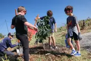 Florida Urban Orchard Initiative Fights Food Insecurity with 120 Fruit Trees