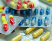 G7 Nations Urged to Unite in Global Antibiotics Investment Drive