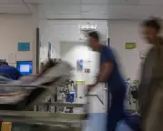 Home Office Lifts Ban, Allowing Asylum-Seeking Doctors to Work in NHS