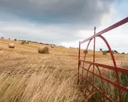 How WWII Coded Weather Forecasts Protected Britain from Enemy Intelligence