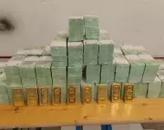 Hungary Seizes Millions in Cash and Gold from Ukrainian Convoy, Arrests Seven