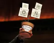 Ig Nobel Awards Relocate to Europe Over US Visa Concerns