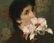 In Bloom Exhibition: Botanical History Where Science Meets Obsession