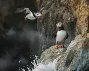 Inside Britain's National Parks Review: A Documentary That Inspires Life Changes