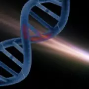 Japanese Scientists Discover DNA Building Blocks on Asteroid Ryugu