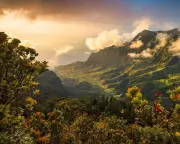 Kauai Helicopter Crash Investigation Underway After Fatal Incident