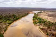 Kenya's Tana River Conservation Secures Nairobi's Water Supply Amid Climate Change