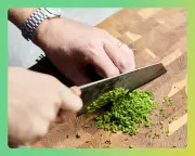 Kitchen Knife Showdown: Expert Tests 14 Blades for Ultimate Performance
