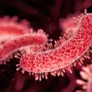 Legionnaires' Disease Outbreak Detected in Two London Areas