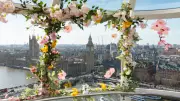 London Eye Blooms with Floral Pods and Spring Treats for Easter 2026
