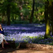 London's Bluebell Season: Wanstead Park's Floral Display Arrives Soon