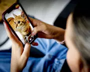 MPs Reject Under-16 Social Media Ban, But Grant New Powers to Secretary of State