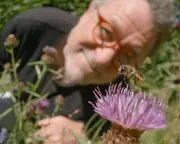 My Garden of a Thousand Bees: A Life-Changing Documentary on Urban Insects
