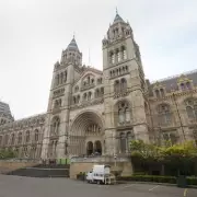 Natural History Museum Breaks UK Record as Top Tourist Attraction in 2025