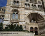 Natural History Museum Sets UK Record with 7.1 Million Visitors in 2025