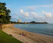 New Caledonia Implements Shark Culling After Fatal Attack