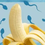 New Study Challenges Abstinence Advice for Male Fertility