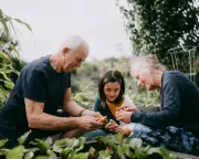 New Study Reveals Generational Divide in UK Is Less Severe Than Perceived