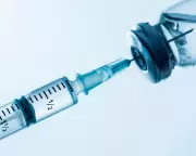 Non-Surgical Brazilian Butt Lift Experiences: A Capital Post Investigation