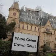 North London Couple Jailed After XL Bully-Type Dog Attacks Boy Twice