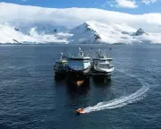 Norwegian Krill Giant Aker QRILL Faces Sustainability Certification Controversy