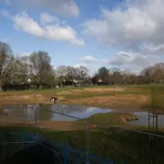 Ombudsman Faults Ealing Council Over Park Flooding Project Safety Concerns