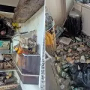 Pet Owner Banned for Life After Cats and Hamster Starve in 'House of Horrors'