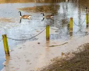 Raw Sewage Spills Into England's Rivers and Seas Nearly 300,000 Times in Dry Year