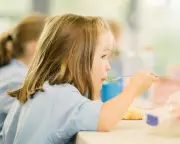 School Food Crisis: Economics Trump Nutrition for 50 Years