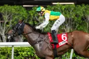 Storming Dragon Poised for Victory at Happy Valley Racecourse