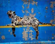 The Ethics of Anonymity: Unmasking Artists Like Banksy and Ferrante