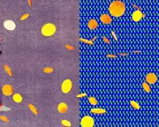 The Global AI Data Gold Rush: Workers Sell Identities for Cash