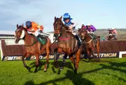 Timeform Identifies Top Handicapped Horses for Cheltenham Festival
