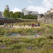 Tower of London Moat to Undergo Major Ecological Transformation with Water Features