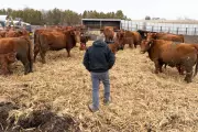 Trump Announces New Federal Aid Package for Farmers Amid Iran Conflict