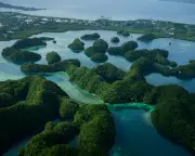 UK Cuts Climate Aid to Developing Nations, Jeopardizing Global Ecosystems